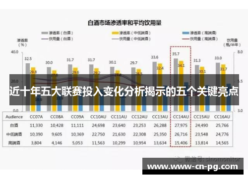 近十年五大联赛投入变化分析揭示的五个关键亮点