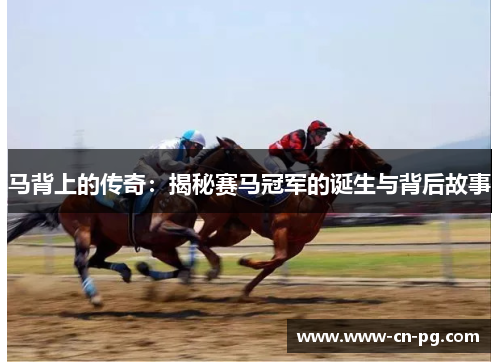 马背上的传奇:揭秘赛马冠军的诞生与背后故事 马背上的传奇:揭秘赛马冠军的诞生与背后故事