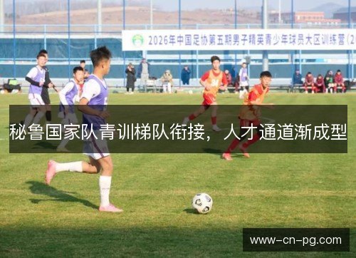 秘鲁国家队青训梯队衔接，人才通道渐成型